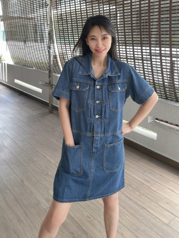 ALMA Denim Loose Polo Dress 直筒宽松牛仔翻领裙 - Image 4